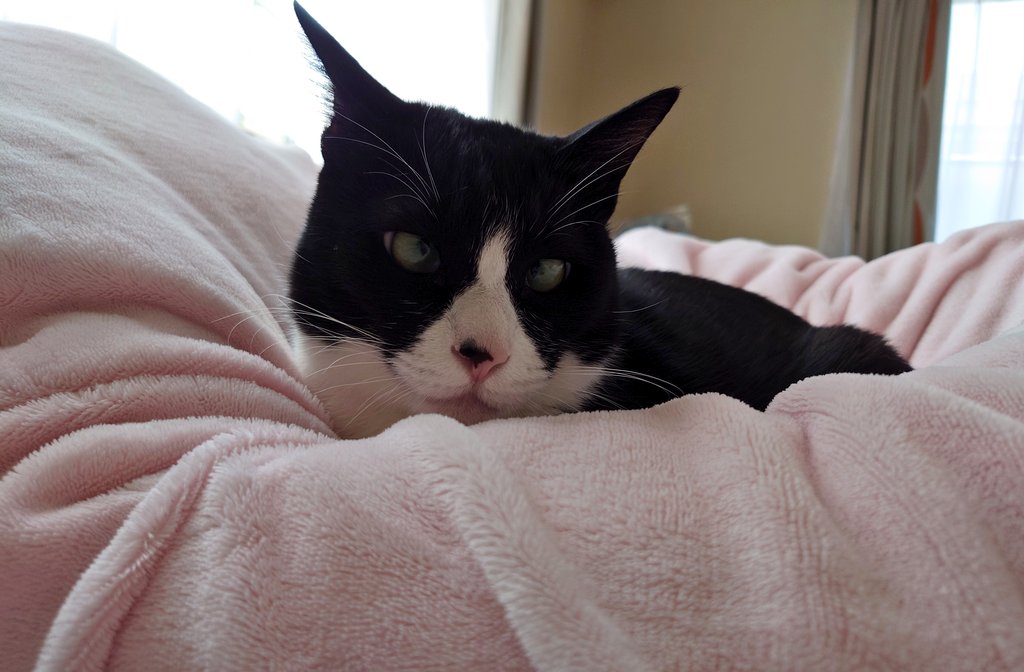 游游 (@yuyu_trip) on Twitter photo 