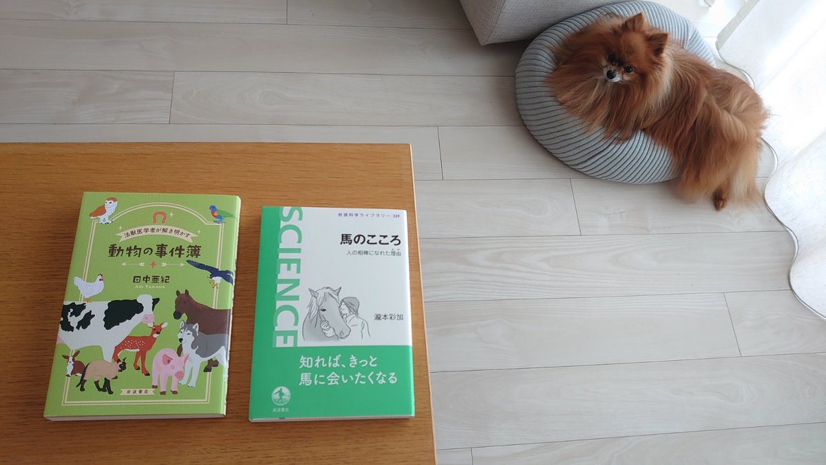 なも🐬 tweet media