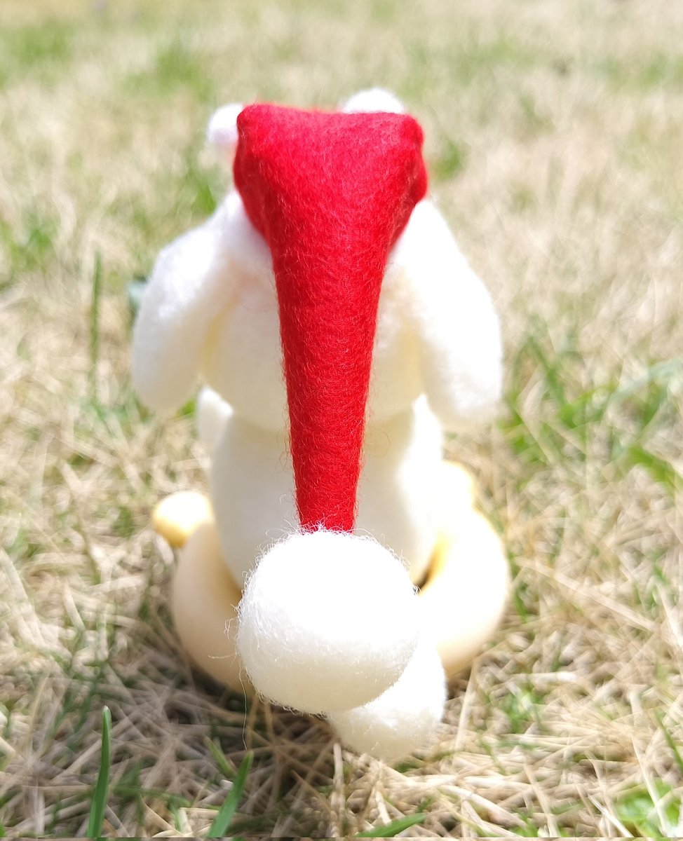 おまrゲフンゲフン！浮輪に乗ったえりすッピーちゃんです！
真っ白フワモコな可愛い子です！°ʚ(*´꒳`*)ɞ°
いつも遊んでくれてありがとー！