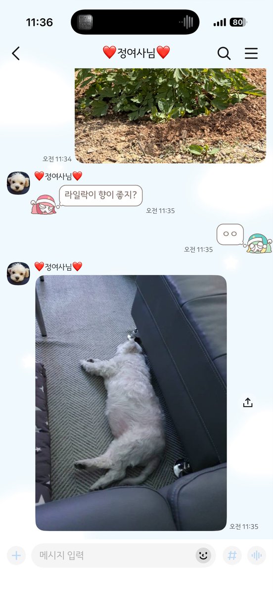 오복슈퍼의 일상 tweet media