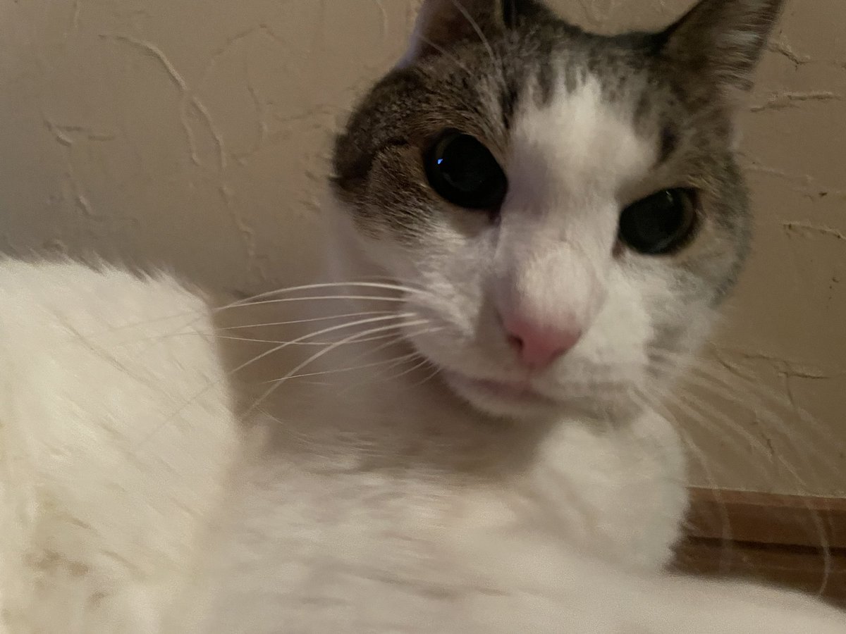 rika_theempress's tweet image. 今日はこの後15時からこちらです！

●４月１９日（日）１５：００～
浅草 Soultrane（soultrane.jp）
セッションホスト：田中利佳(pf) 水橋孝(b)

お近くの方いらっしゃいましたら。

#jamsession #ジャズ #ジャムセッション #浅草 #soultrane #ソウルトレーン