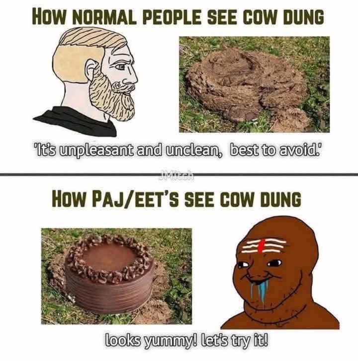 sb2089's tweet photo. @LatLongLogic @DrRamshaMir Abay cow ki shit say paida huye indian kuttay

No one drinks camel piss, but you guys legit eat cow shit and drink its urine, eww, wtf is wrong with you ugly smelly degenerate fcks. 

And talk about IQ, indias IQ is lower than Pakistan even, hahaah, degenerate fcks https://t.co/GvbnHrs4Oa