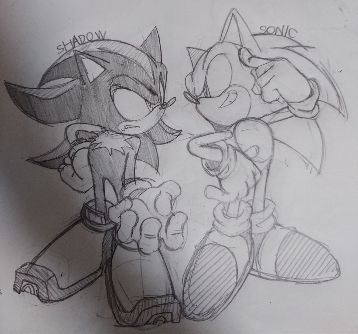 もっちゃん tweet media