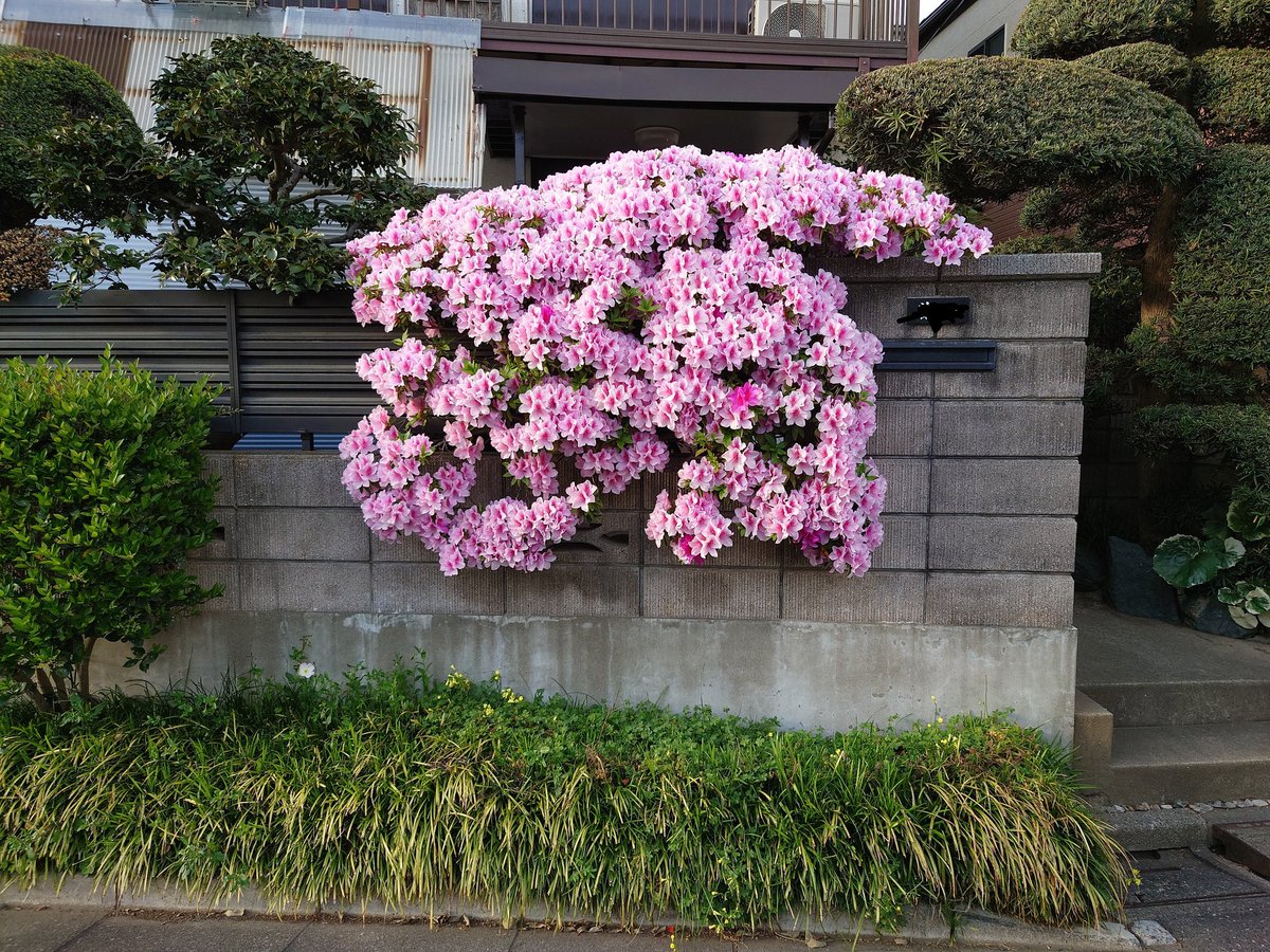 伊東宏起 tweet media