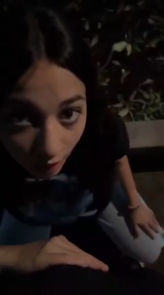 Zoelle West tweet media