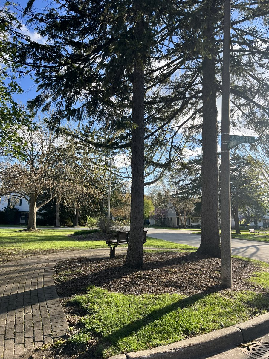 mediagurlruns's tweet image. This past week’s runs were not as therapeutic as today’s run. Weekend running is the best! Gotta keep moving! 🙏🏼🏃🏻‍♀️☀️6️⃣0️⃣ #runner #run #therapy #running #7miler