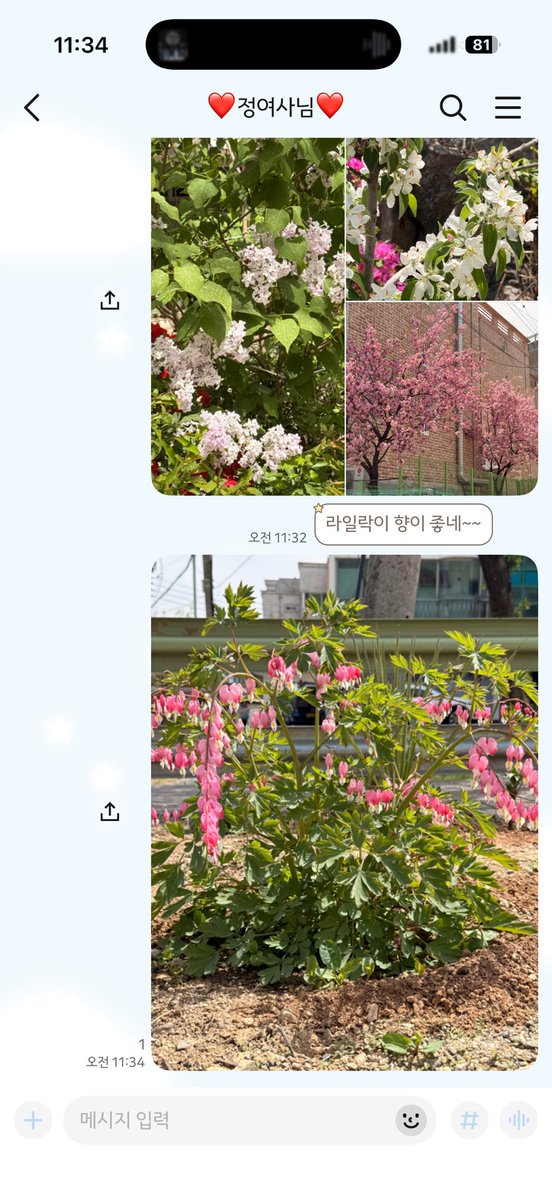 오복슈퍼의 일상 tweet media