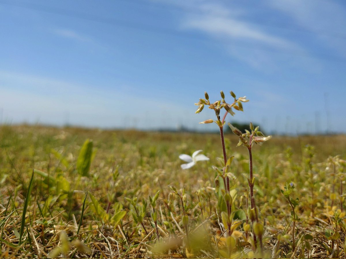 吉田英樹 tweet media