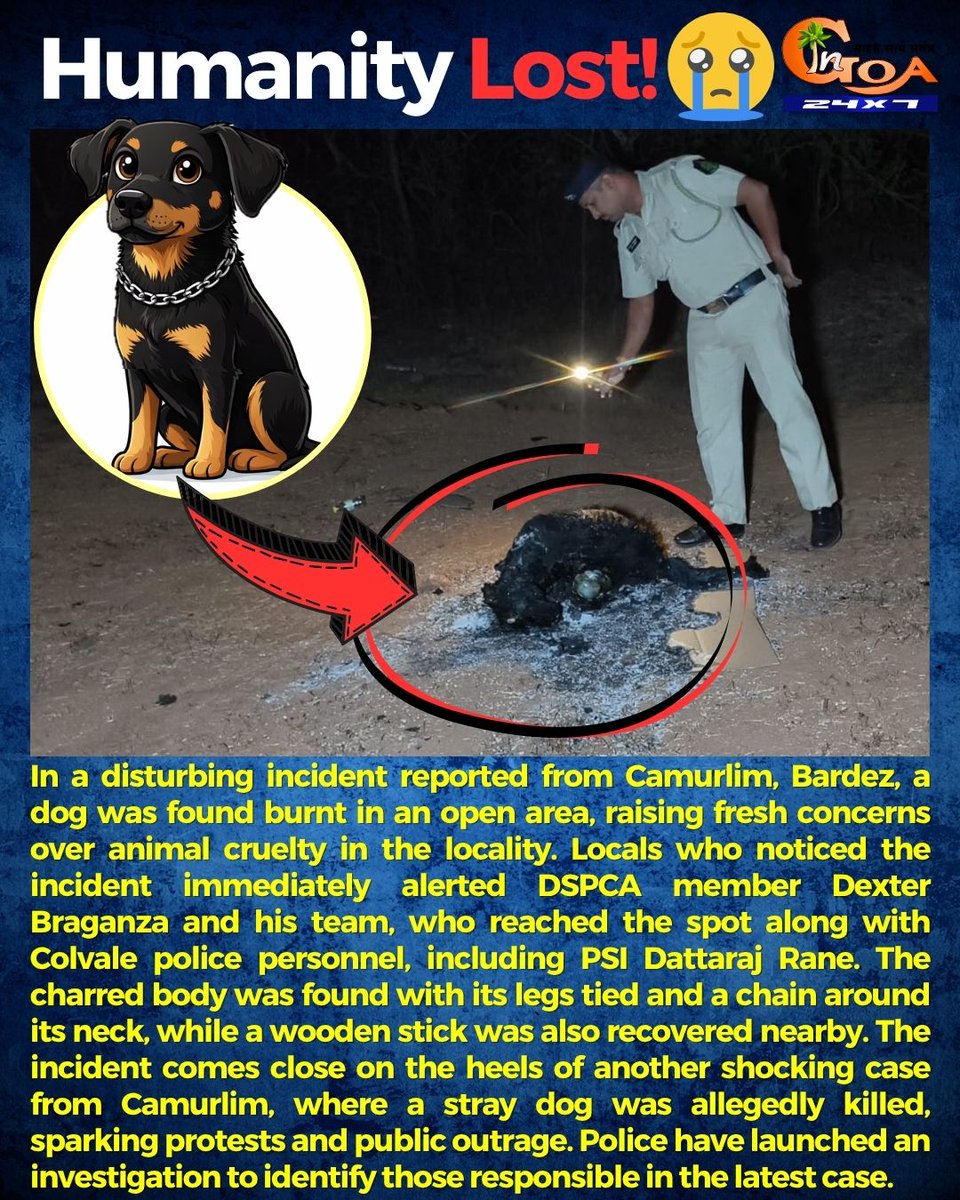 InGoa24x7's tweet image. Second Cruelty Case in Camurlim: Dog Found Burnt, Probe On
.
.
#Goa #GoaNews #Camurlim #Dog #Cruelty #animallover #Justice