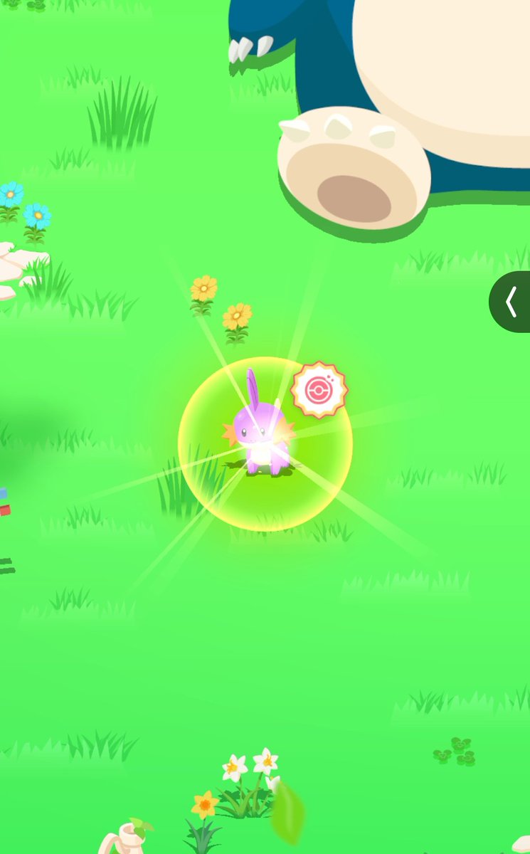 🍑ももごろう tweet media