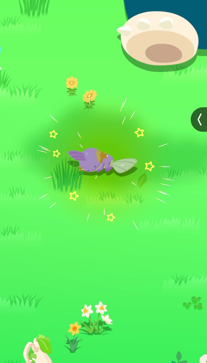 🍑ももごろう tweet media