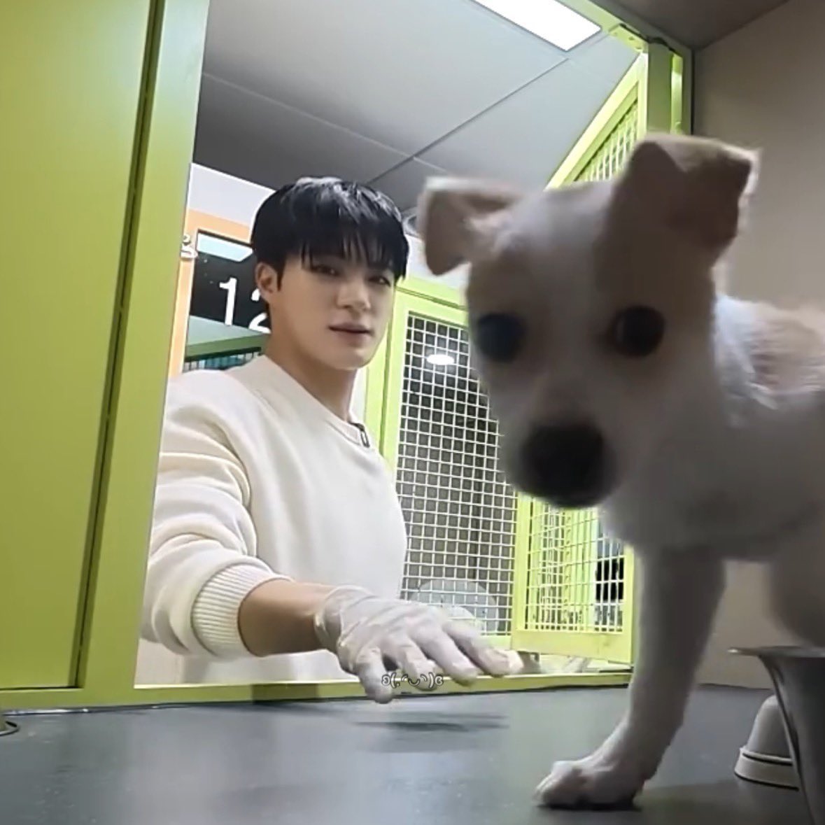 엉엉 65.0 tweet media