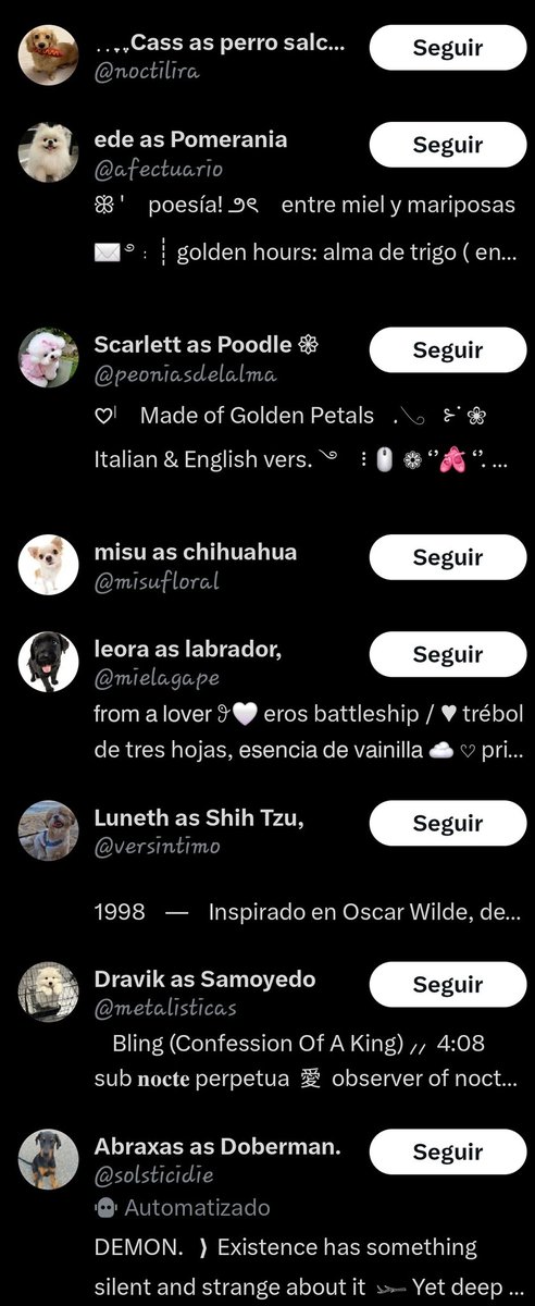 Me vinieron a visitar unos perritos, me muero.