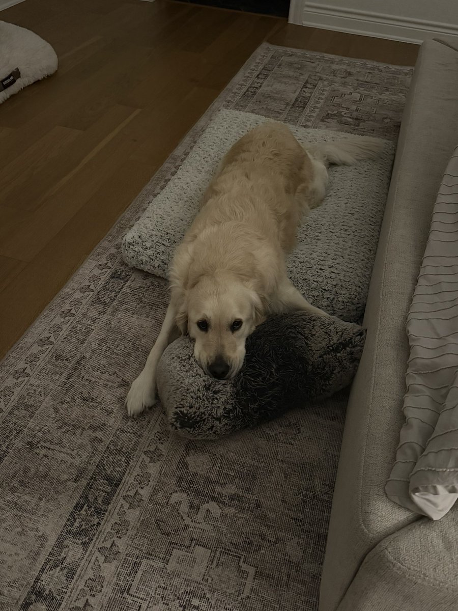 Gunther Eagleman™ tweet media