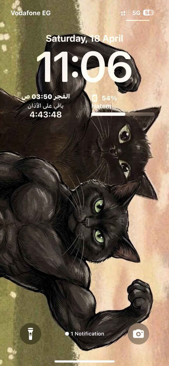 محمد حاتم tweet media