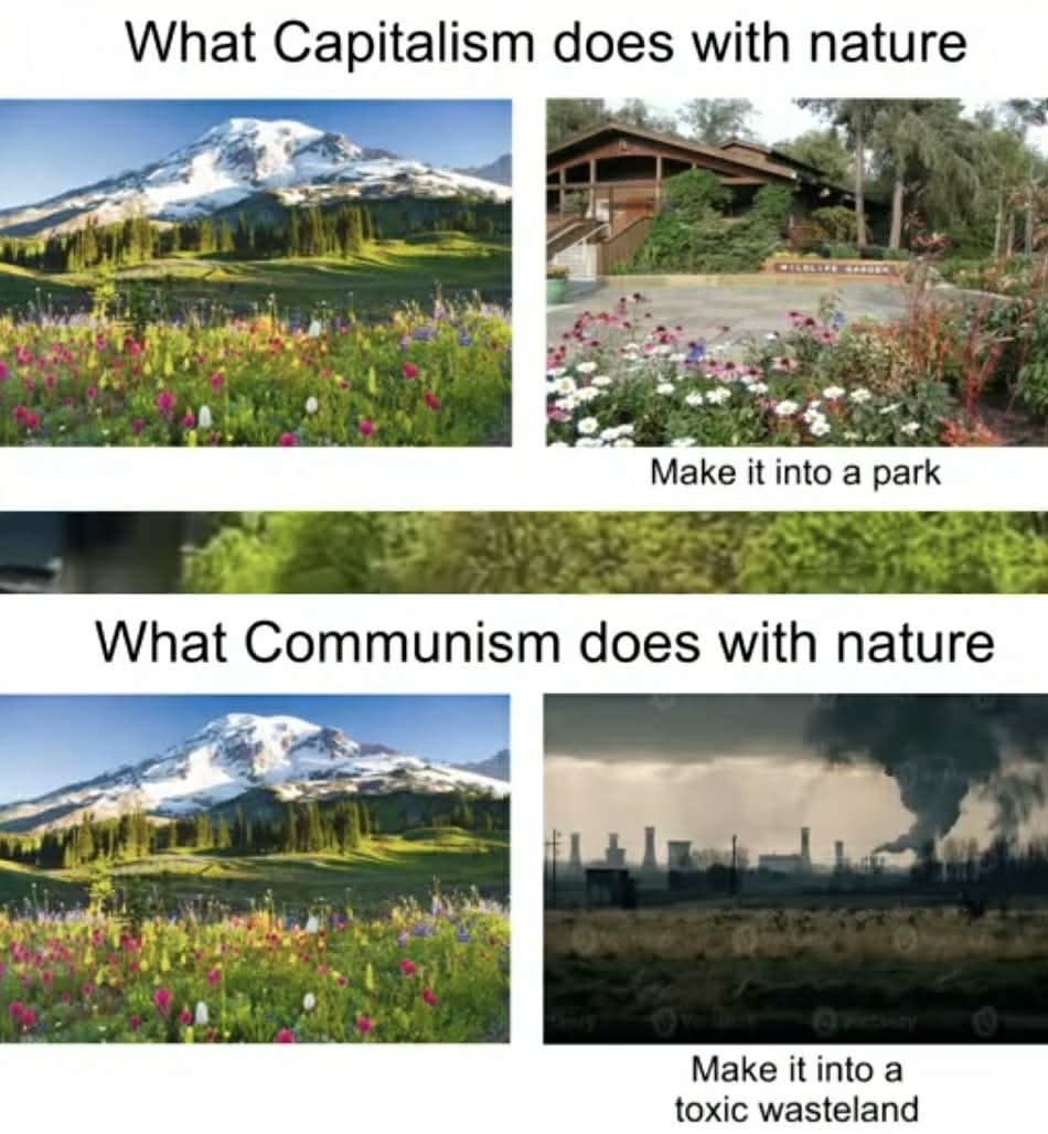 Rothmus 🏴 tweet media