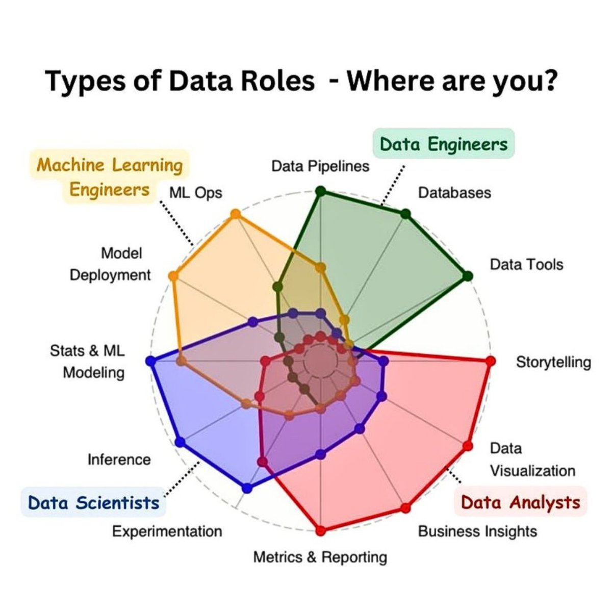 Python Developer tweet media