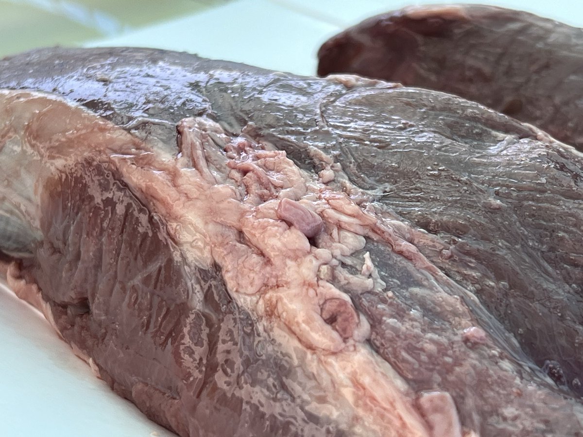 akira_m_k's tweet image. 半年ぶりのBBQ
ジビエで一杯🍺
#BBQ #ジビエ