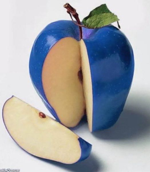 جود الغامدي 💙 Joodalghamdi tweet media