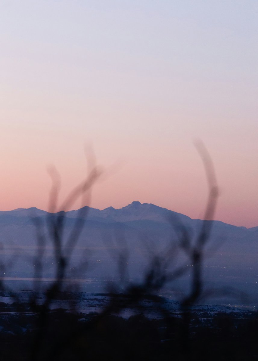 Rear Admiral Eileen Laubacher tweet media