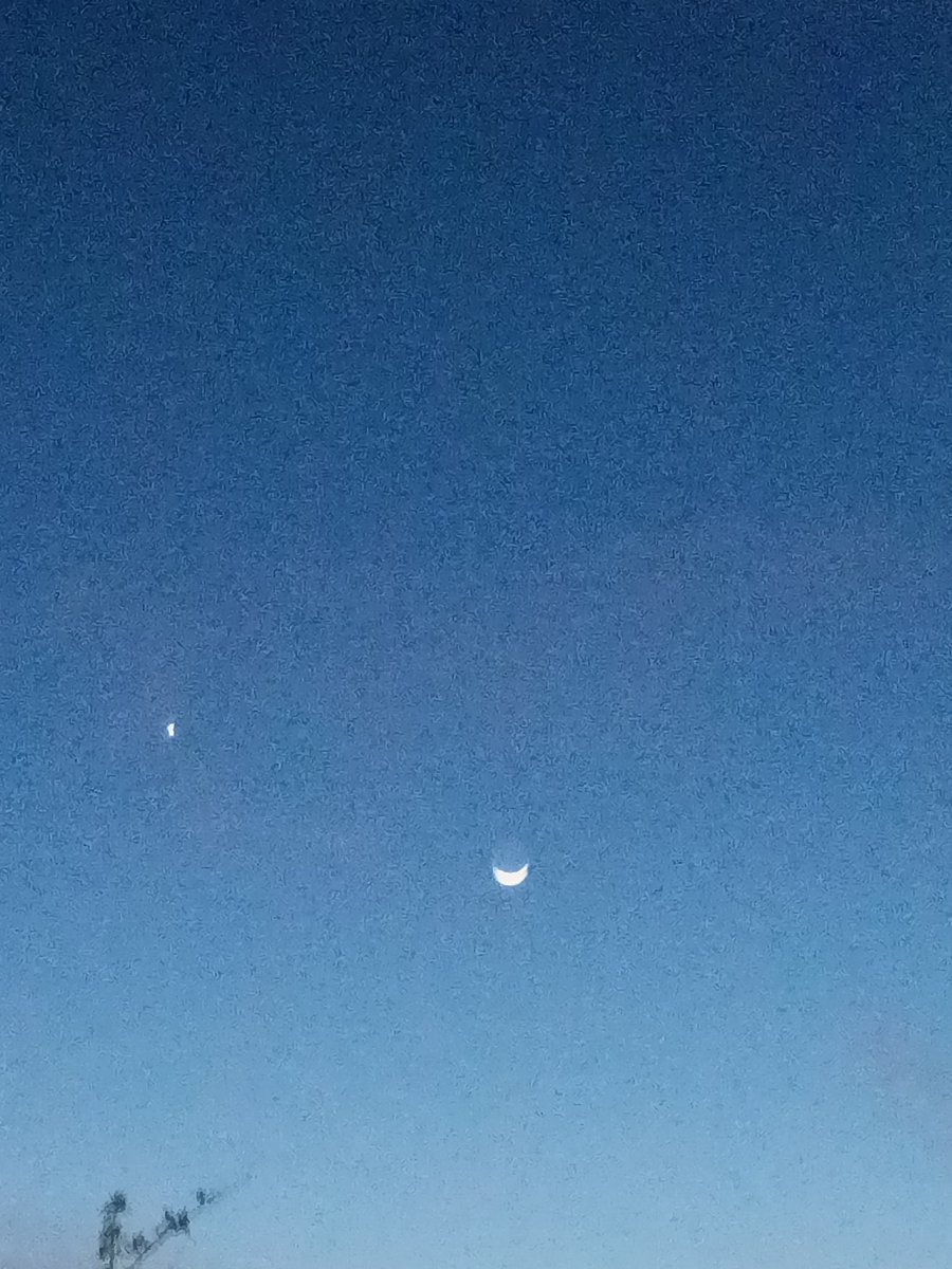 Zavoosky's tweet image. Approaching the macrobiome of Spring night fall. #springtime