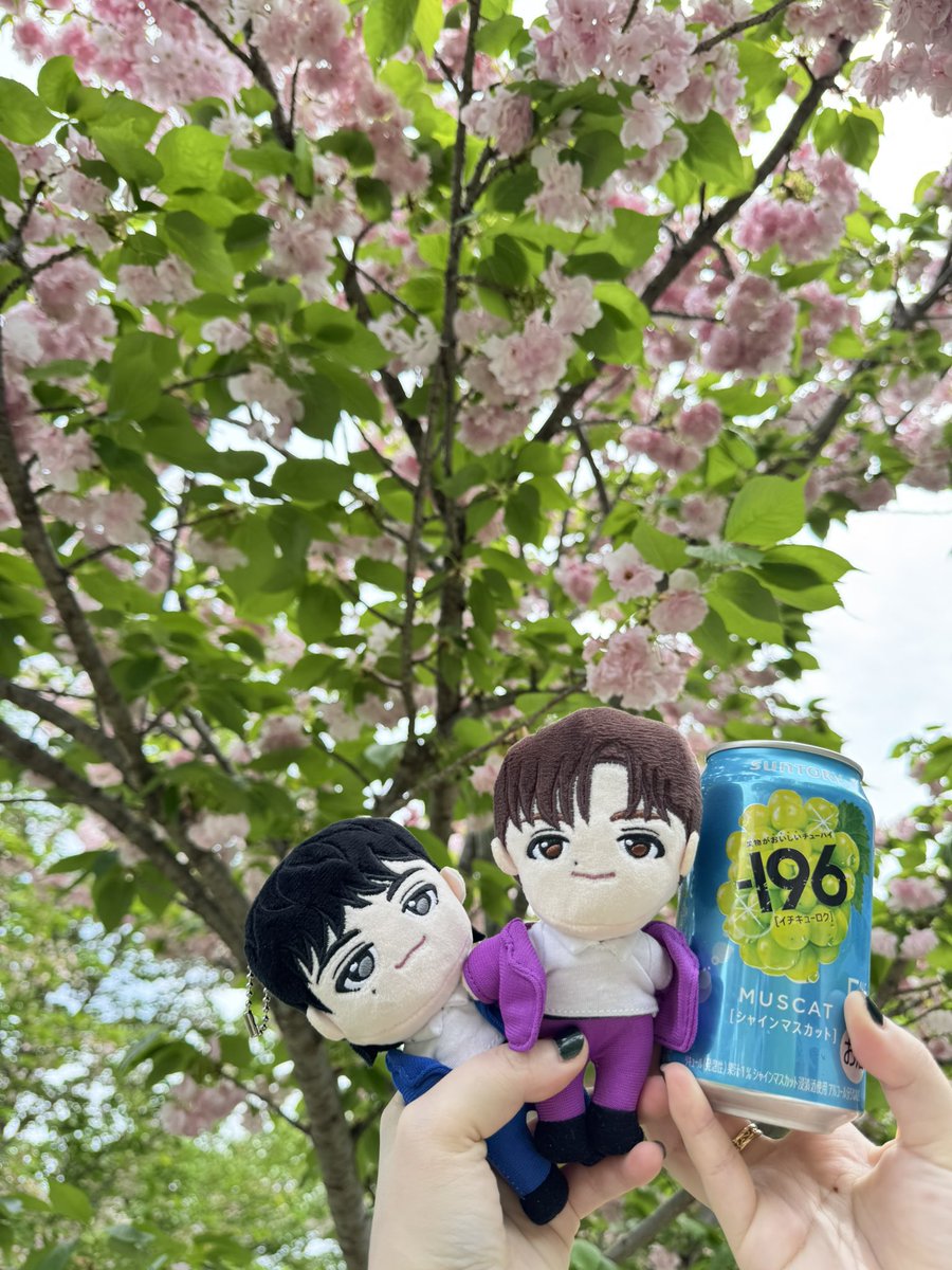 まーちゃん🦦💻 tweet media