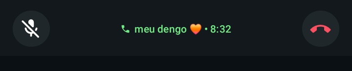 "odeio qualquer pessoa me ligando"

menos ela.