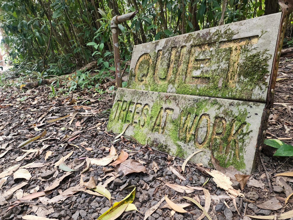 Mr. Camerahead tweet media