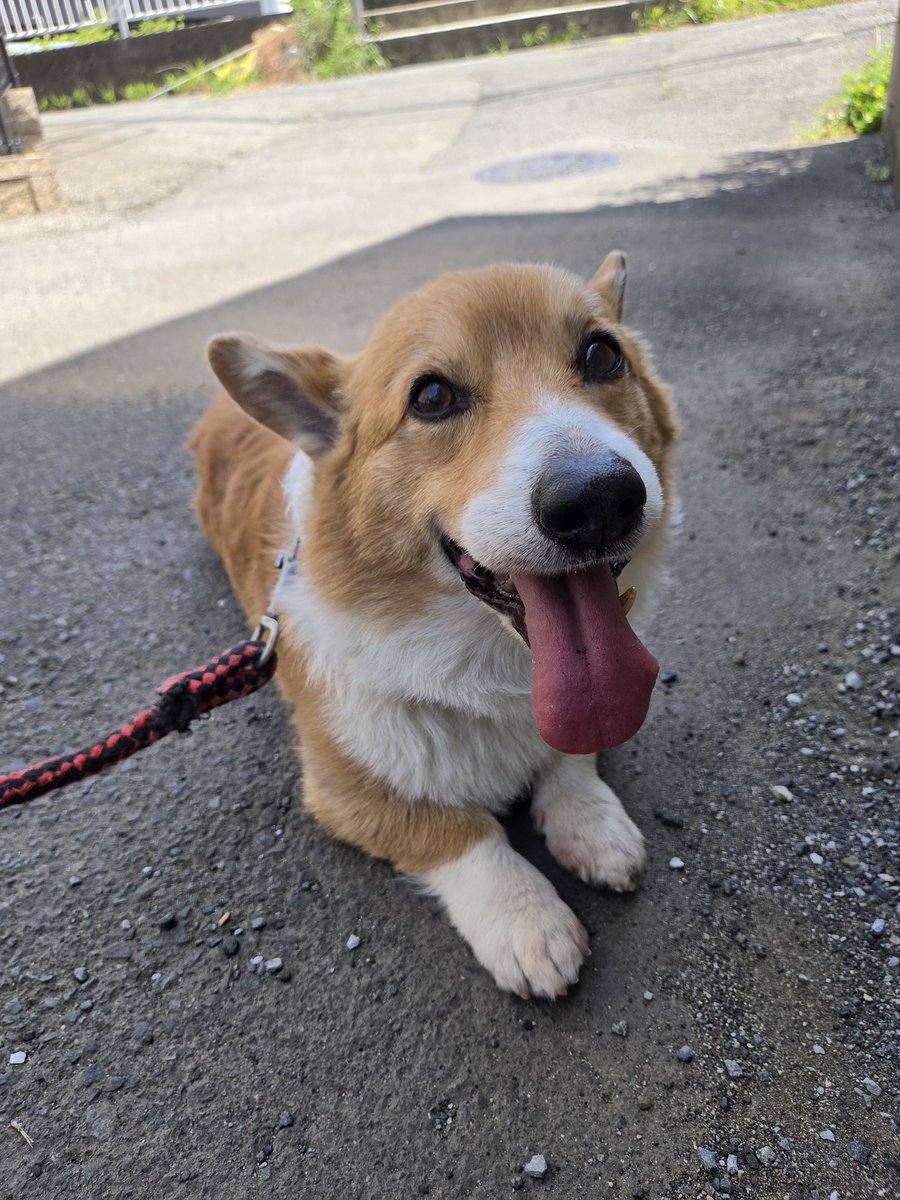 ま～さ tweet media