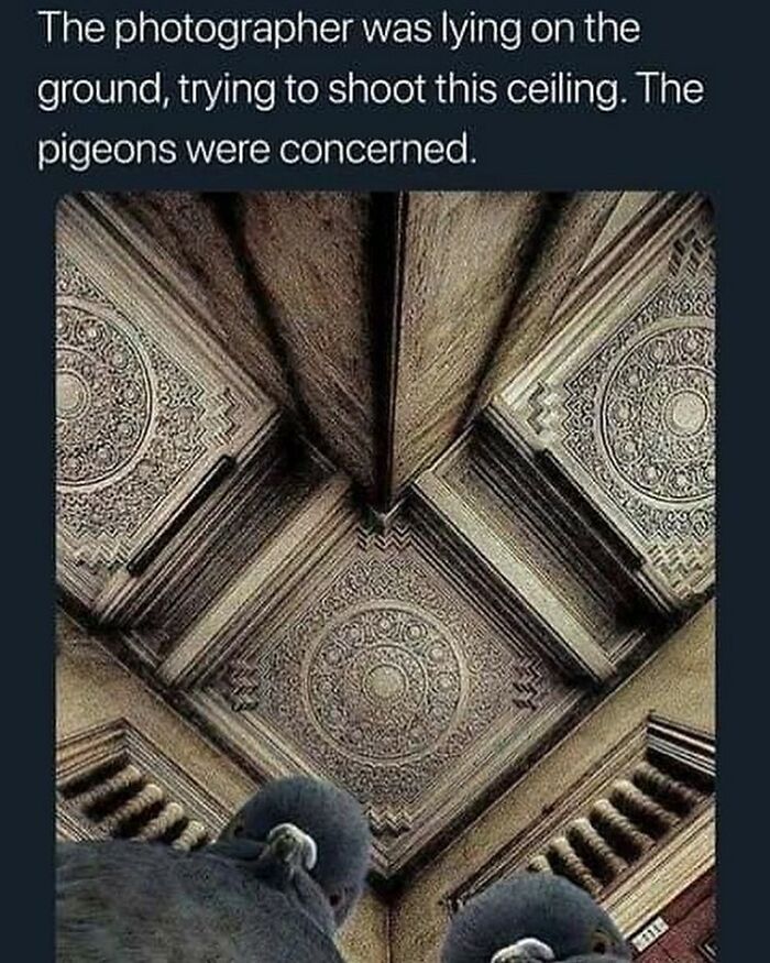 Eric Alper 🎧 tweet media