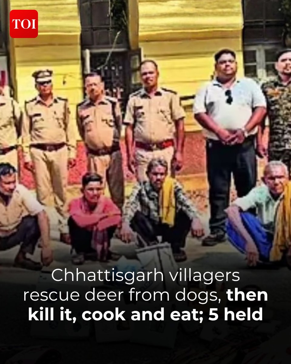 timesofindia's tweet image. #Chhattisgarh | In a disturbing incident from #Raigarh, a group of villagers went from rescuing a spotted #deer from a pack of #dogs to allegedly killing and devouring it. Following a tip-off, #forest officials discovered deer meat in five residences and apprehended five suspects