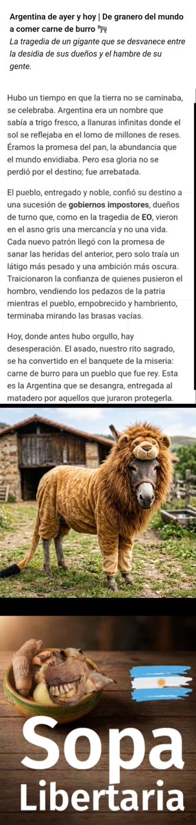 Bella_Jaz333's tweet image. Argentina, el asno gris. Al final, no fueron los lobos quienes acabaron con él burro  🫏 sino el hambre de un pueblo hambriento. Duele ver cómo desguazaron lo que alguna vez fue grandeza. 🇦🇷  #ArgentinaDesangra
 #MileiNoErasUnLeónSinoUnLadrón 
#milei #mileicorruptoestafador