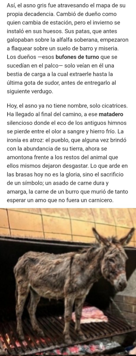Bella_Jaz333's tweet image. Argentina, el asno gris. Al final, no fueron los lobos quienes acabaron con él burro  🫏 sino el hambre de un pueblo hambriento. Duele ver cómo desguazaron lo que alguna vez fue grandeza. 🇦🇷  #ArgentinaDesangra
 #MileiNoErasUnLeónSinoUnLadrón 
#milei #mileicorruptoestafador