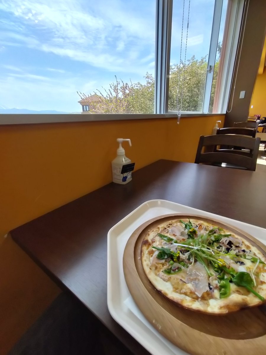 今日のアポロ.....nn🏍🐞 tweet media