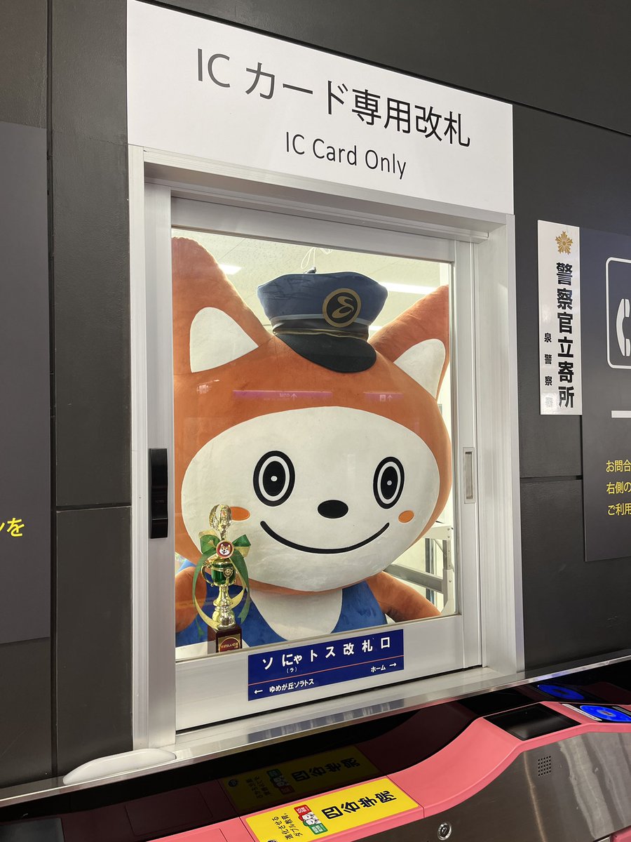 かっしい tweet media