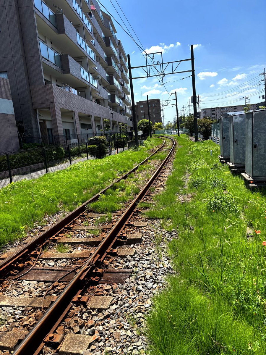 V.TROJAN tweet media