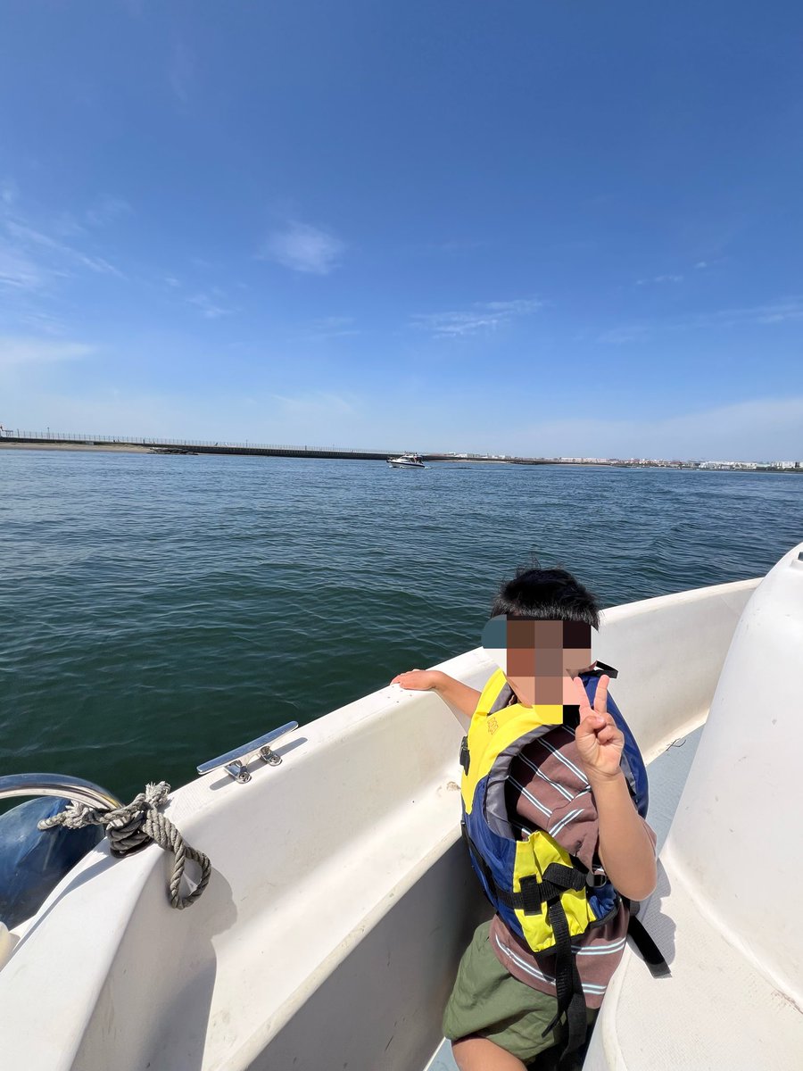 ポスゴリくん tweet media