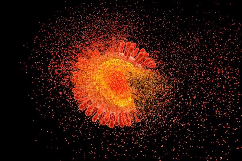 Tendencias y Tuits Borrados tweet media