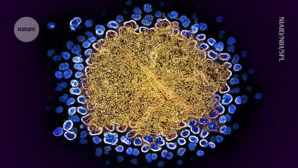 Tendencias y Tuits Borrados tweet media