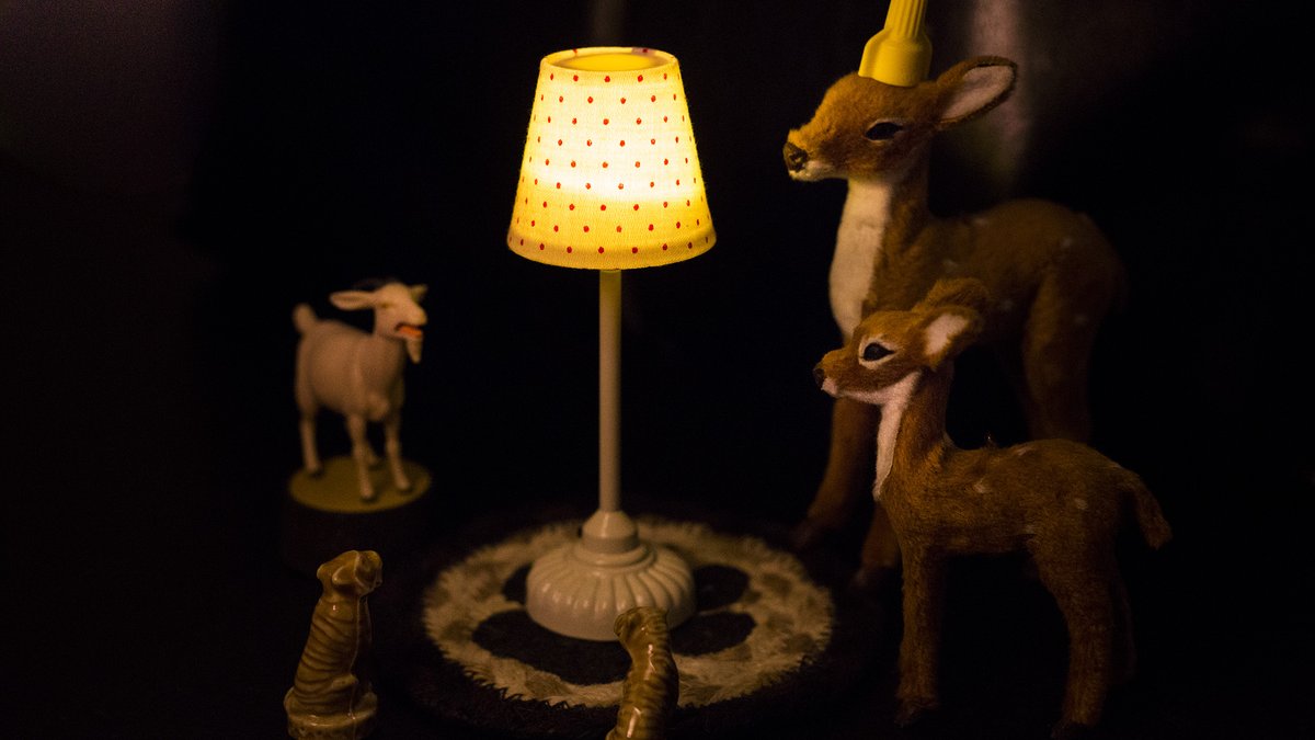 AdelButton's tweet photo. I just acquired the most amazing lamp for my creatures. https://t.co/GhI9DhczbT