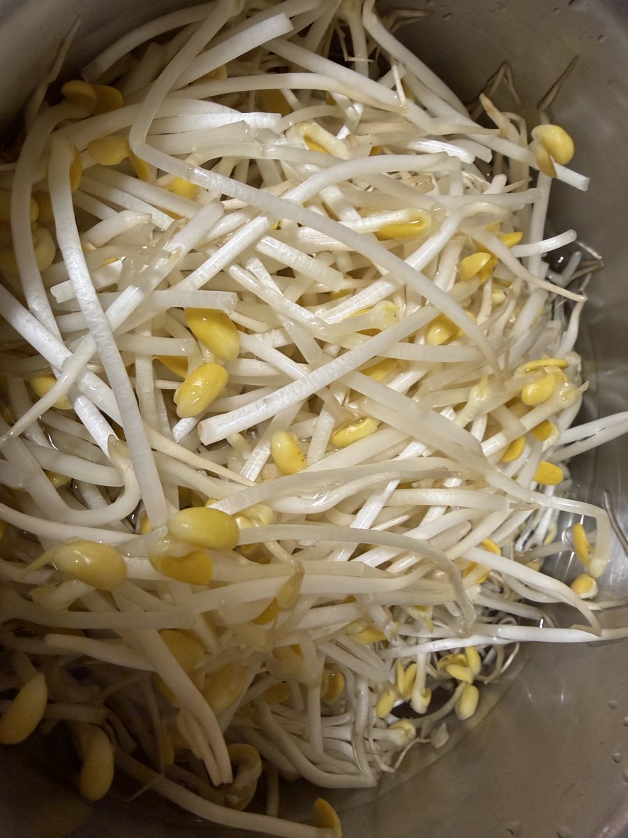 착한 오뚜기 tweet media