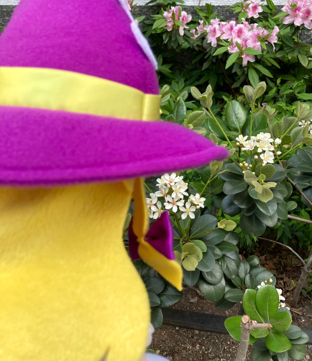 むるぬ tweet media