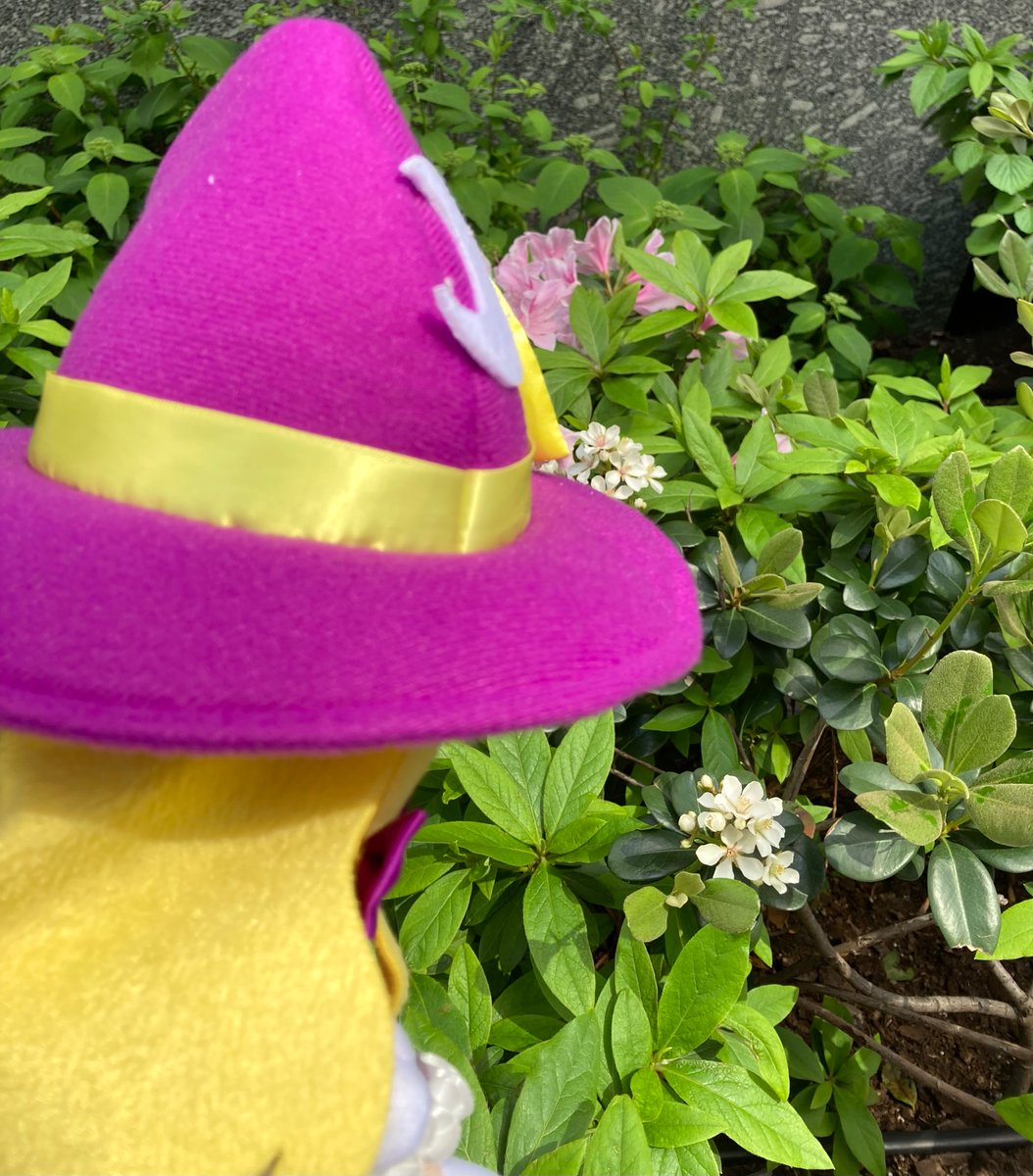 むるぬ tweet media