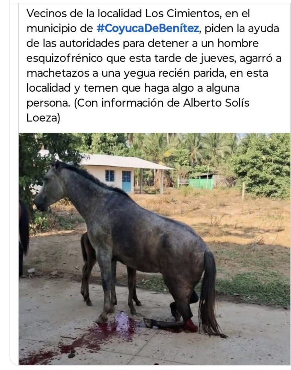 .<a href="/GobiernoCoyuca/">Gobierno Coyuca de Benítez</a> coyucadebenitez.gob.mx/presidente-mun… Víctor Hugo Catalán <a href="/JulietaMRabago/">Julieta MacíasRábago🐦🌎🐱🐕</a> <a href="/MariaAmpudiaG_/">Maria Ampudia</a> <a href="/RicardoBSalinas/">Don Ricardo Salinas Pliego</a>