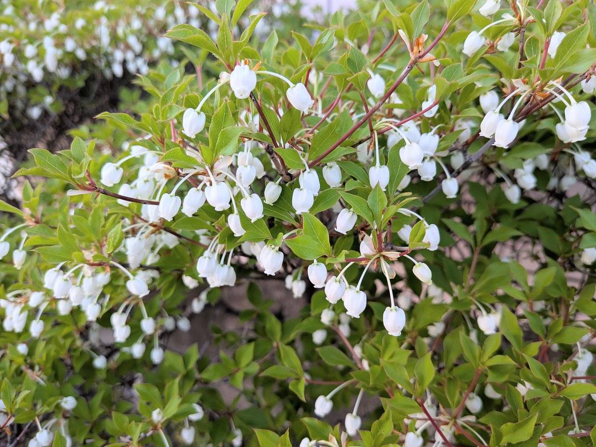 海野勝稔 tweet media