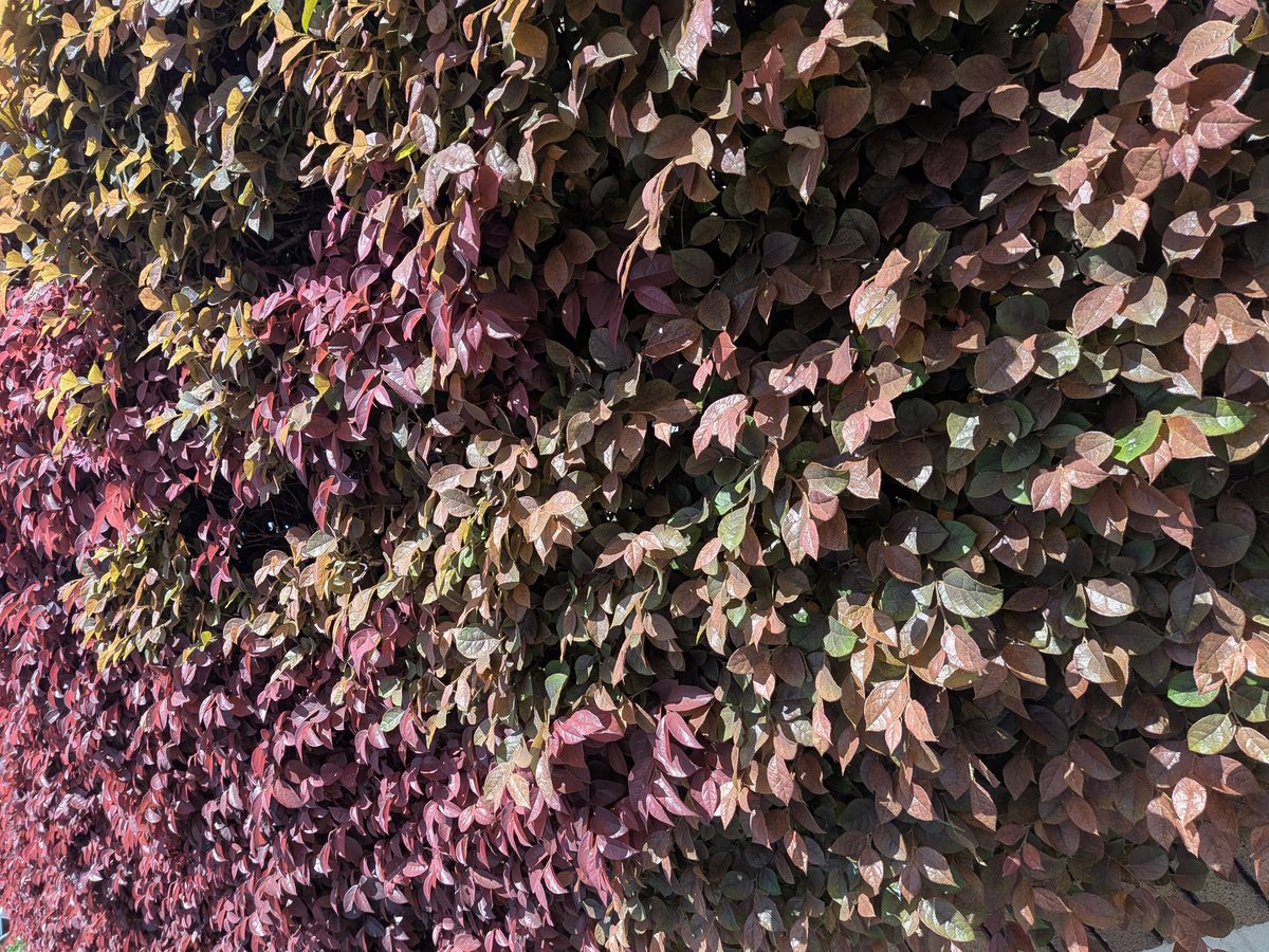 海野勝稔 tweet media