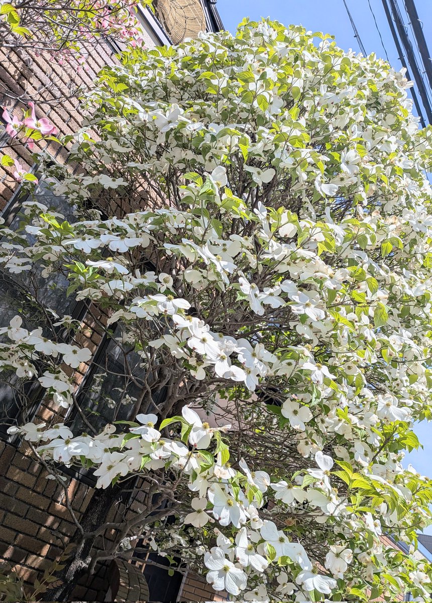 海野勝稔 tweet media