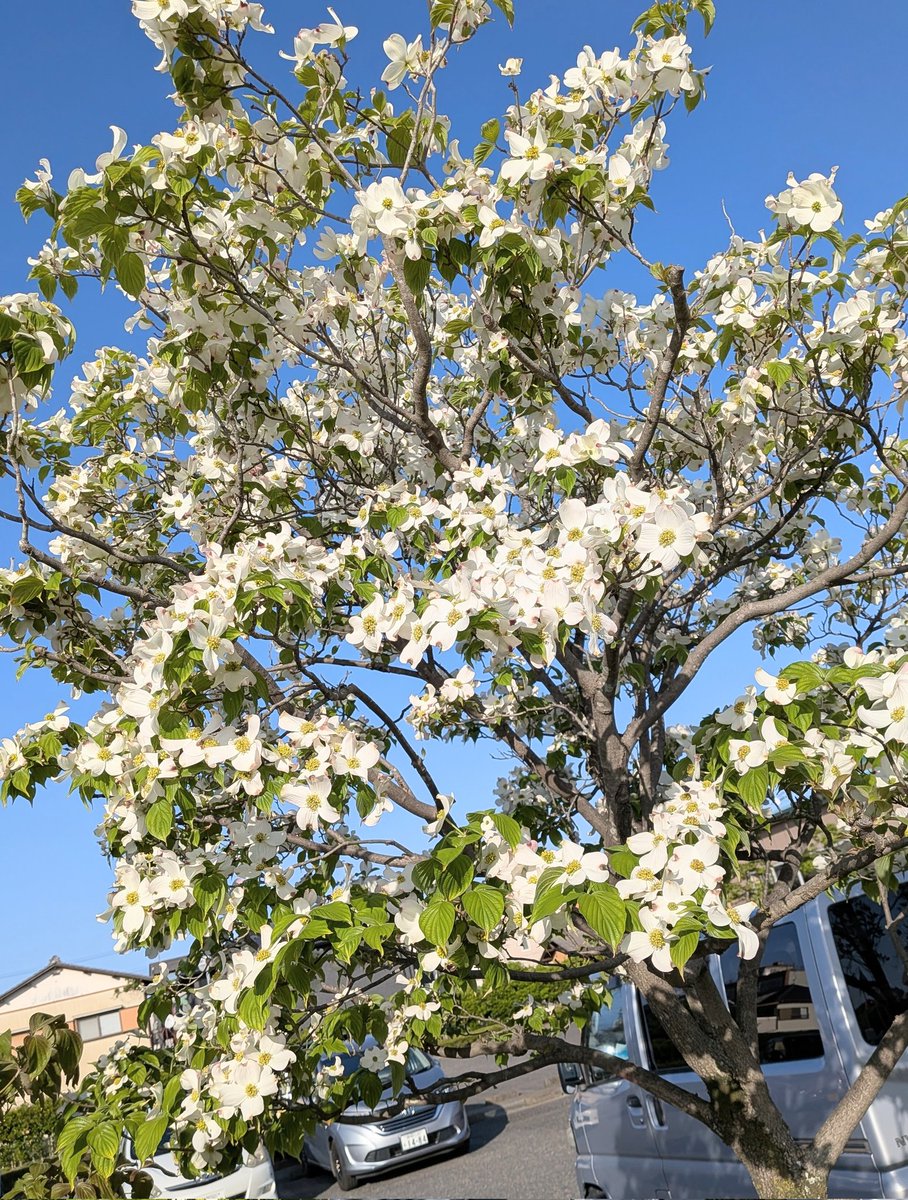 海野勝稔 tweet media