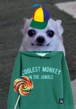 Dormandidi tweet media