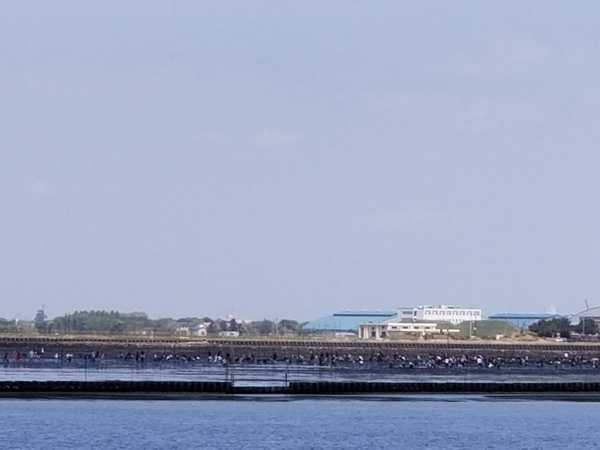 jj1dbhp's tweet photo. 各局こんにちは☀️
千葉県木更津市木更津港潮浜公園

写真では潮干狩りの人々は
小さく写ってる😅

今日は北海道の局長さんと
交信できたし
伝言ゲームもちゃんと貰えたし
（ヒガシオオサカZZ541局）
潮風も思いっきり浴びて満足❗

そろそろ撤収で～す🚗
各局ありがとうございました🙇 https://t.co/sWA1kaDdV5